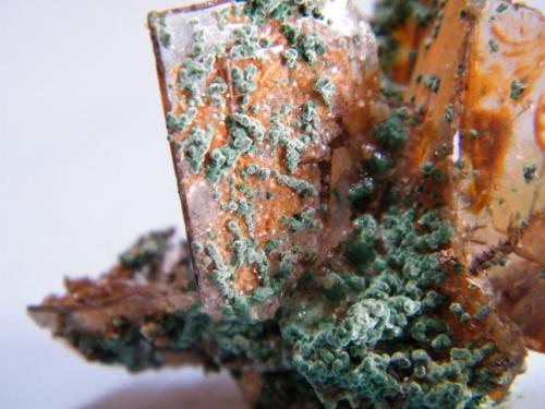 Malachite on Wulfenite<br />Tsumeb Mine, Tsumeb, Otjikoto Region, Namibia<br />48mm x 41mm x 37mm<br /> (Author: Heimo Hellwig)