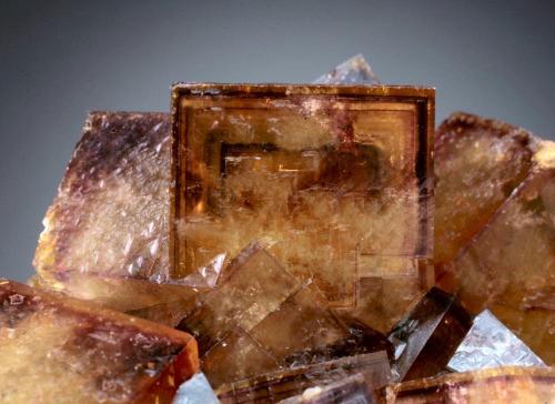 Fluorite<br />Distrito Annaberg, Erzgebirgskreis, Sajonia/Sachsen, Alemania<br />crystal 2 cm on edge<br /> (Author: Jesse Fisher)