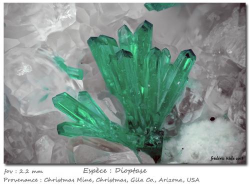 Dioptase<br />Mina Christmas, Christmas, Distrito Banner, Montes Dripping Spring, Condado Gila, Arizona, USA<br />fov 2.2 mm<br /> (Author: ploum)