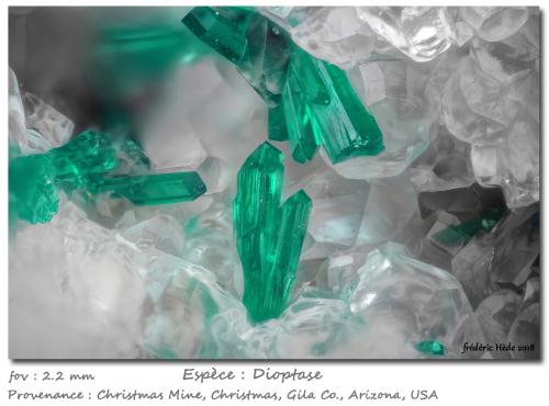 Dioptase<br />Mina Christmas, Christmas, Distrito Banner, Montes Dripping Spring, Condado Gila, Arizona, USA<br />fov 2.2 mm<br /> (Author: ploum)