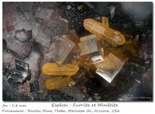 Fluorite and Mimetite<br />Rowley Mine, Theba, Painted Rock District, Painted Rock Mountains, Maricopa County, Arizona, USA<br />fov 1.8 mm<br /> (Author: ploum)