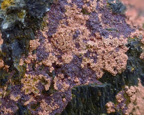 Cobre y Cuprita<br />Vegadeo, Comarca Eo-Navia, Principado de Asturias (Asturias), España<br />Campo de visión de 3 mm<br /> (Autor: Antonio Carmona)