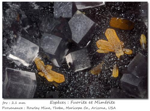 Fluorite and Mimetite<br />Rowley Mine, Theba, Painted Rock District, Painted Rock Mountains, Maricopa County, Arizona, USA<br />fov 2.1 mm<br /> (Author: ploum)