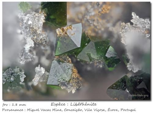 Libethenite<br />Miguel Vacas Mine, Pardais and Conceição Parish, Vila Viçosa, Évora District, Alentejo Central Province, Alentejo Region, Portugal<br />fov 1.8 mm<br /> (Author: ploum)