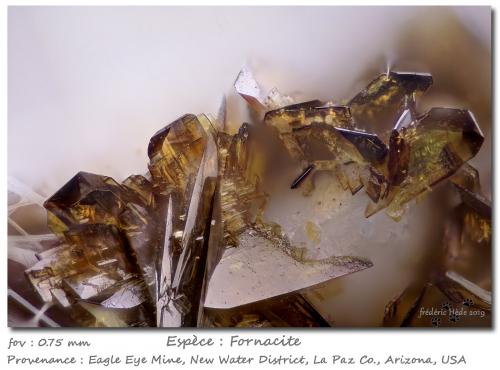 Fornacite<br />Mina Eagle Eye, Grupo Moore Mine, Distrito New Water, Montes New Water, Condado La Paz, Arizona, USA<br />fov 0.75 mm<br /> (Author: ploum)
