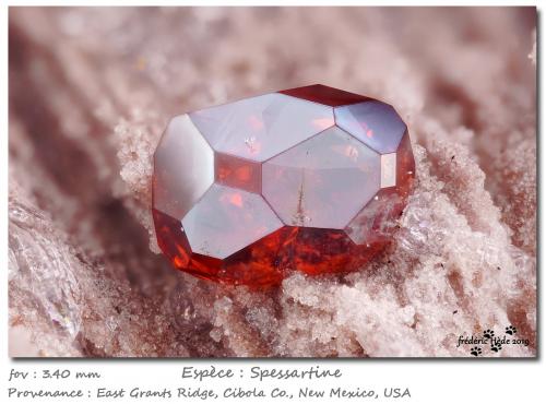 Spessartine<br />East Grants Ridge, Cibola County, New Mexico, USA<br />fov 3.4 mm<br /> (Author: ploum)