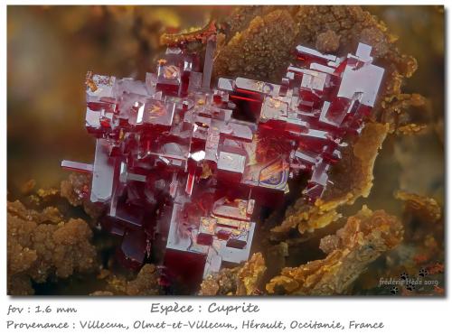 Cuprite<br />Villecun, Olmet-et-Villecun, Lodève Canton, Lodève District, Hérault, Occitanie, France<br />fov 1.6 mm<br /> (Author: ploum)