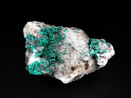 Reichenbachita y Pseudomalaquita<br />Miguel Vacas Mine, Pardais and Conceição Parish, Vila Viçosa, Évora District, Portugal<br />5 x 3 cm.<br /> (Autor: Antonio P. López)