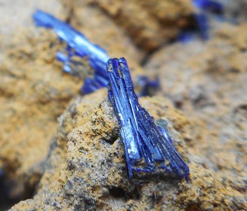 Azurita<br />Milagro Mine (Consuelo Mine), Valdelamesa, Mestas de Con, Onís-Cangas de Onís, Comarca de Oriente, Principality of Asturias (Asturias), Spain<br />Cristal de 6,9 mm<br /> (Autor: Javi Llamazares)