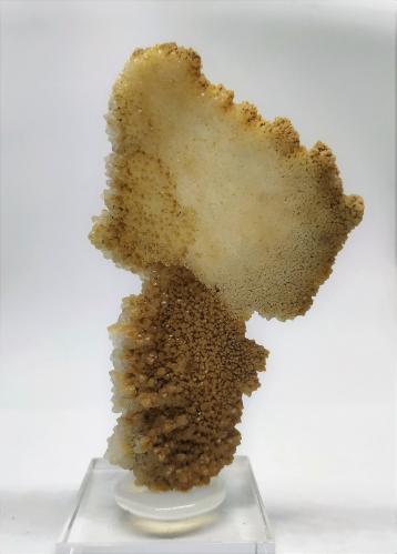 Aragonito<br />Mina Zaragoza, Bauma Griera, Queralbs, Comarca Ripollés, Gerona / Girona, Cataluña / Catalunya, España<br />9cmx5,5cm<br /> (Autor: Adri Rodríguez)
