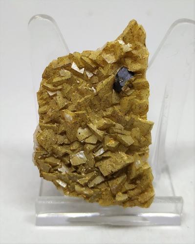 Galena, Dolomita<br />Mina Regia, Bellmunt del Priorat, Comarca Priorat, Tarragona, Cataluña / Catalunya, España<br />5cmx3,5cm<br /> (Autor: Adri Rodríguez)