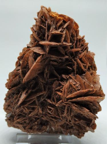 Yeso<br />Ermita de Pinyeres, Pinyeres, El Masroig, Comarca Priorat, Tarragona, Cataluña / Catalunya, España<br />10cmx7,5cm<br /> (Autor: Adri Rodríguez)