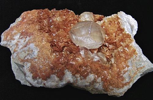 Calcite on Dolomite<br />State Route 56 road cut, Canton, Washington County, Indiana, USA<br />The specimen is 8 cm. The Calcite crystal is 1.8 cm<br /> (Author: Bob Harman)