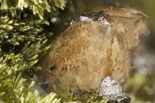 Calcite with Epidote<br />Kapaa Quarries, Kailua, Oahu Island, Honolulu County, Hawaii, USA<br />FOV = 3.3 mm<br /> (Author: Doug)