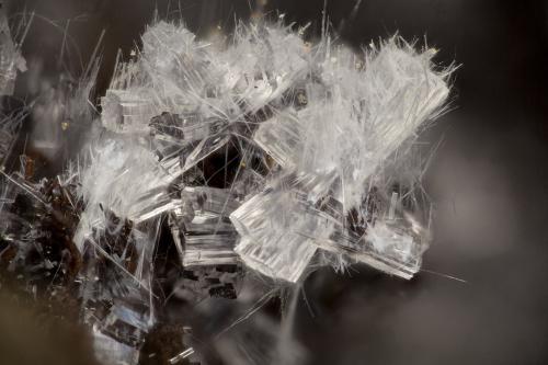 'Stilbite' with Mordenite<br />Rock Candy Mountain, Black Hills, Thurston County, Washington, USA<br />FOV = 3.7 mm<br /> (Author: Doug)