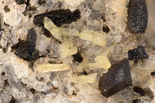 Aegirine with Ilmenite<br />Summit Rock, Condado Klamath, Oregon, USA<br />FOV = 2.9 mm<br /> (Author: Doug)