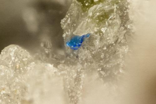 Cuprorivaite<br />Summit Rock, Klamath County, Oregon, USA<br />FOV = 0.5 mm<br /> (Author: Doug)