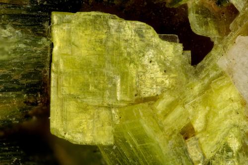 Autunite<br />Daybreak Mine, Mount Kit Carson, Spokane County, Washington, USA<br />FOV = 2.7mm<br /> (Author: Doug)