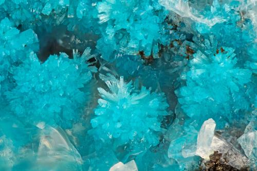 Cavansite<br />Owyhee Dam, Lake Owyhee State Park, Malheur County, Oregon, USA<br />FOV = 3.8 mm<br /> (Author: Doug)