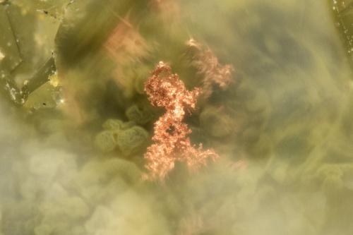 Copper<br />Beech Creek Quarry, Mount Vernon, Grant County, Oregon, USA<br />FOV = 0.7mm<br /> (Author: Doug)