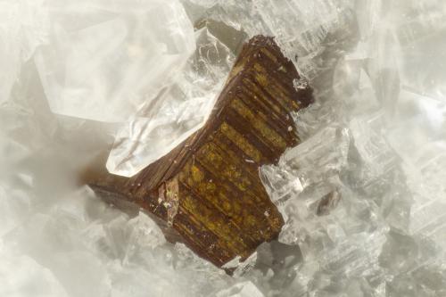 Pyrite on Quartz<br />Kapaa Quarries, Kailua, Oahu Island, Honolulu County, Hawaii, USA<br />FOV = 1.1mm<br /> (Author: Doug)