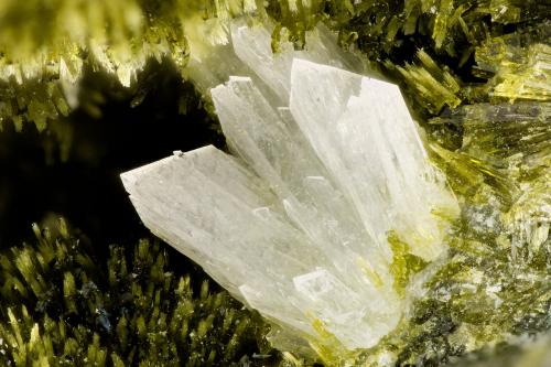 Laumontite with Epidote<br />Kapaa Quarries, Kailua, Oahu Island, Honolulu County, Hawaii, USA<br />FOV = 3.4 mm<br /> (Author: Doug)