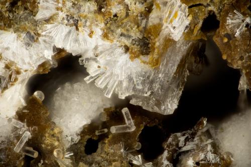 Erionite-K<br />Yaquina Head Quarry, Agate Beach, Lincoln County, Oregon, USA<br />FOV = 1.9 mm<br /> (Author: Doug)