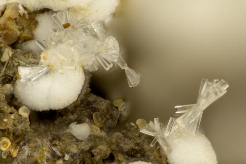 Erionite-K<br />Yaquina Head Quarry, Agate Beach, Lincoln County, Oregon, USA<br />FOV = 1.3 mm<br /> (Author: Doug)