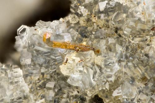 Pyrite, Clinoptilolite-Na<br />Cantera Yaquina Head, Agate Beach, Condado Lincoln, Oregon, USA<br />FOV = 2.7 mm<br /> (Author: Doug)