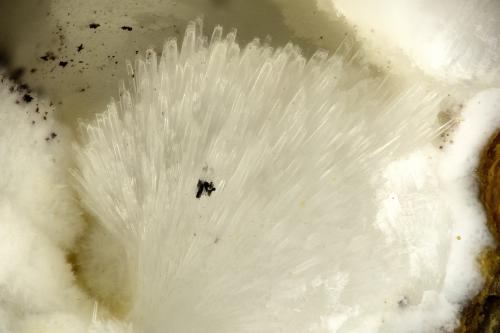 Dachiardite-Ca<br />Cape Lookout Quarry, Netarts, Tillamook County, Oregon, USA<br />FOV = 1.6 mm<br /> (Author: Doug)