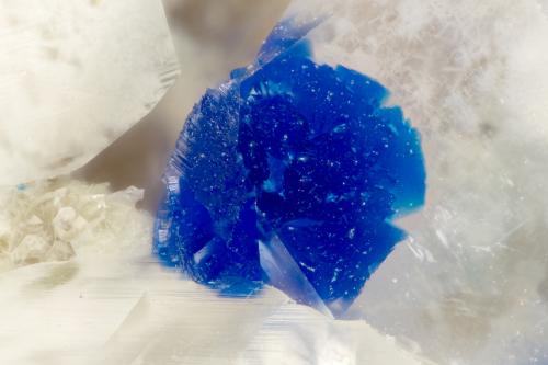 Kinoite<br />Christmas Mine, Christmas, Banner District, Dripping Spring Mountains, Gila County, Arizona, USA<br />FOV = 1.3 mm<br /> (Author: Doug)