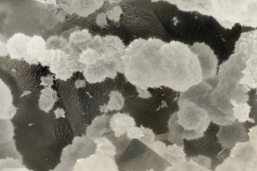 Cowlesite<br />Burnt Cabin Creek, Spray, Wheeler County, Oregon, USA<br />FOV = 3.1 mm<br /> (Author: Doug)