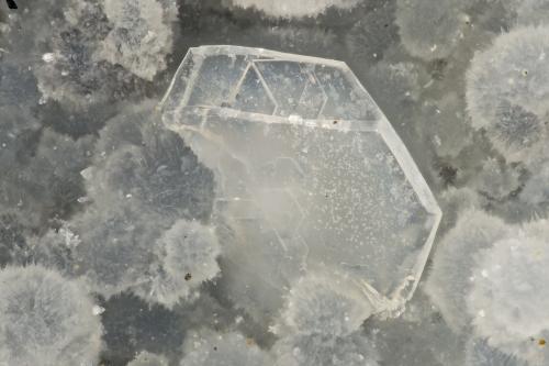 Levyne-Ca, Cowlesite<br />Burnt Cabin Creek, Spray, Wheeler County, Oregon, USA<br />FOV = 2.7<br /> (Author: Doug)