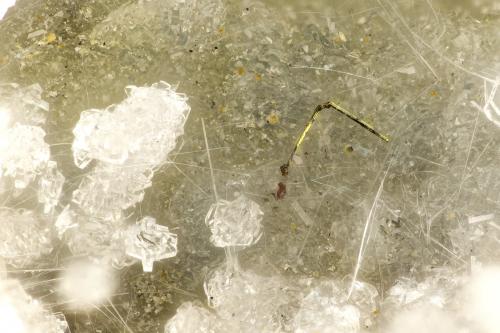 Pyrite, Erionite-Ca, Clinoptilolite-Ca<br />Cape Lookout Quarry, Netarts, Tillamook County, Oregon, USA<br />FOV = 2.2 mm<br /> (Author: Doug)