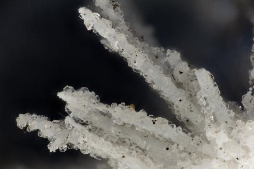 Clinoptilolite, Mordenite, Erionite-Ca<br />Cape Lookout Quarry, Netarts, Tillamook County, Oregon, USA<br />FOV = 3.3 mm<br /> (Author: Doug)