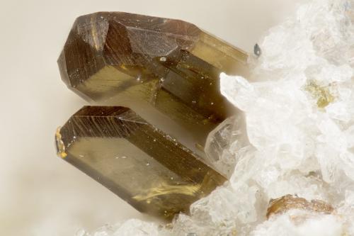 Enstatite<br />Summit Rock, Klamath County, Oregon, USA<br />FOV = 1.5 mm<br /> (Author: Doug)