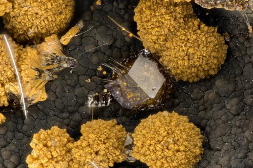 Paulingite-K, Erionite-K<br />Rock Island Dam, Rock Island, Douglas County, Washington, USA<br />FOV = 3.2 mm<br /> (Author: Doug)