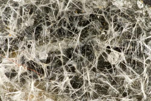 Erionite-K, Clinoptilolite-Ca, Copper<br />Embalse Rock Island, Rock Island, Condado Douglas, Washington, USA<br />FOV = 3.3 mm<br /> (Author: Doug)