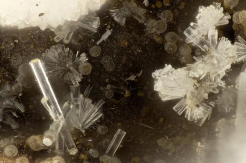 Erionite-K<br />Yaquina Head Quarry, Agate Beach, Lincoln County, Oregon, USA<br />FOV = 1.2 mm<br /> (Author: Doug)