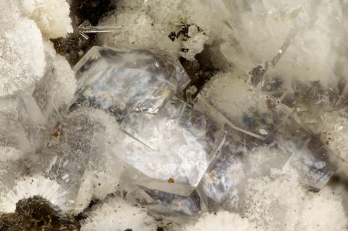 Clinoptilolite-Na, Erionite-K<br />Yaquina Head Quarry, Agate Beach, Lincoln County, Oregon, USA<br />FOV = 3.2 mm<br /> (Author: Doug)
