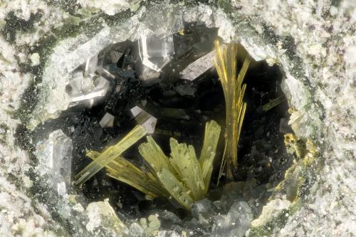 Epidote, Quartz<br />Kapaa Quarries, Kailua, Oahu Island, Honolulu County, Hawaii, USA<br />FOV = 2.7 mm<br /> (Author: Doug)