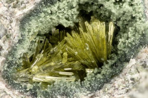 Epidote<br />Kapaa Quarries, Kailua, Oahu Island, Honolulu County, Hawaii, USA<br />FOV = 2.2 mm<br /> (Author: Doug)