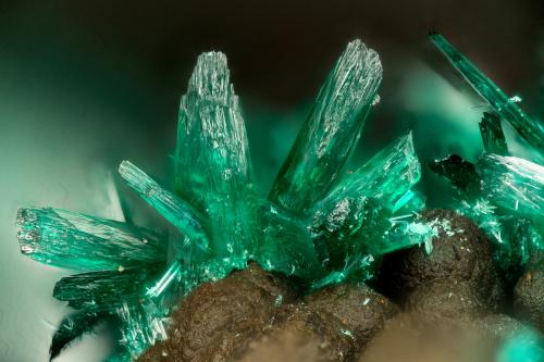 Brochantite<br />Potrerillos Mine, Potrerillos, Diego de Almagro, Chañaral Province, Atacama Region, Chile<br />FOV = 1.8 mm<br /> (Author: Doug)