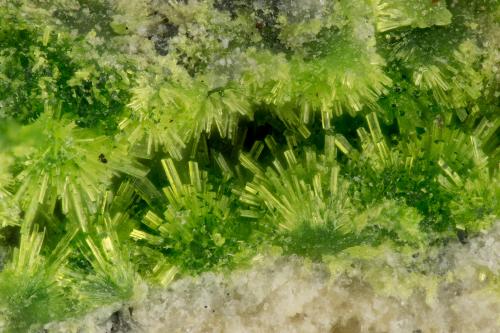 Arthurite<br />Mina Majuba Hill, Distrito Antelope, Condado Pershing, Nevada, USA<br />FOV = 1.3 mm<br /> (Author: Doug)