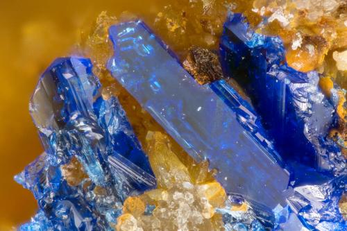 Linarite<br />Old Soldier Mine, Churchill District, Lyon County, Nevada, USA<br />FOV = 1.4 mm<br /> (Author: Doug)