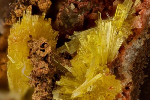 Legrandite<br />Ojuela Mine, Mapimí, Municipio Mapimí, Durango, Mexico<br />FOV = 2.7<br /> (Author: Doug)
