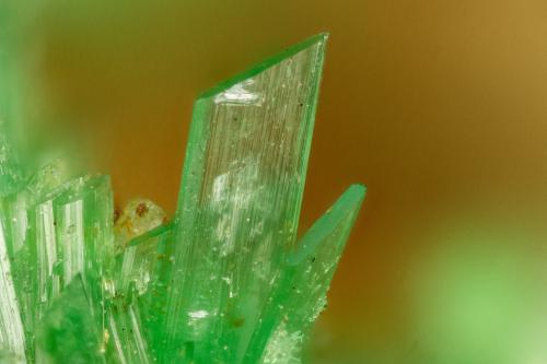 Annabergite<br />Mina Km-3, Lavrion, Distrito minero Lavrion, Prefectura Attikí (Attica), Grecia<br />FOV = 1.5 mm<br /> (Author: Doug)