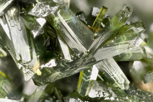 Olivenite<br />Majuba Hill Mine, Antelope District, Pershing County, Nevada, USA<br />FOV = 3.4 mm<br /> (Author: Doug)