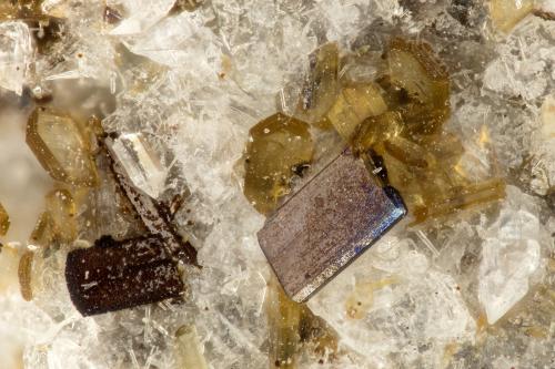 Pseudobrookite, Enstatite<br />Lago Lemolo, Clearwater, Condado Douglas, Oregon, USA<br />FOV = 1.2 mm<br /> (Author: Doug)