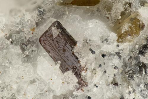 Pseudobrookite<br />Lemolo Lake, Clearwater, Douglas County, Oregon, USA<br />FOV = 1.0 mm<br /> (Author: Doug)